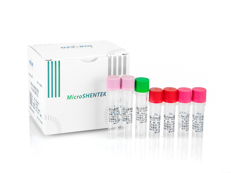 細菌DNA檢測試劑盒（PCR-熒光探針法）